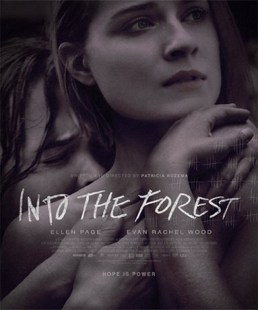 Постер к В лесу